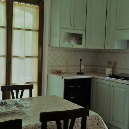 Sunflower 산퀴리코도르시아